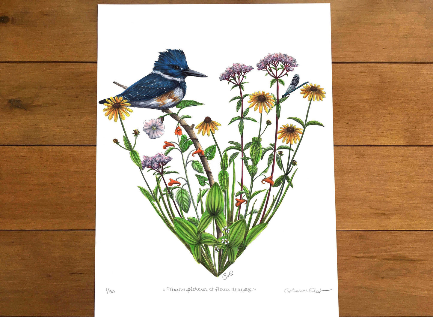 Large Art Print - Kingfisher and Shore Flowers