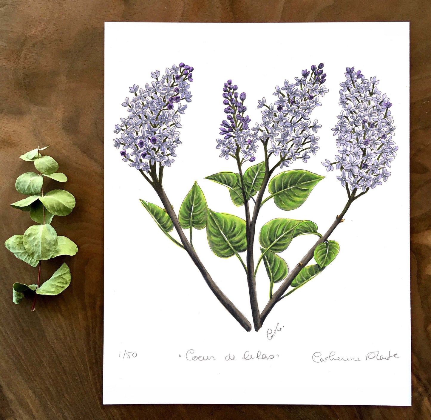 Art Print - Lilac Heart