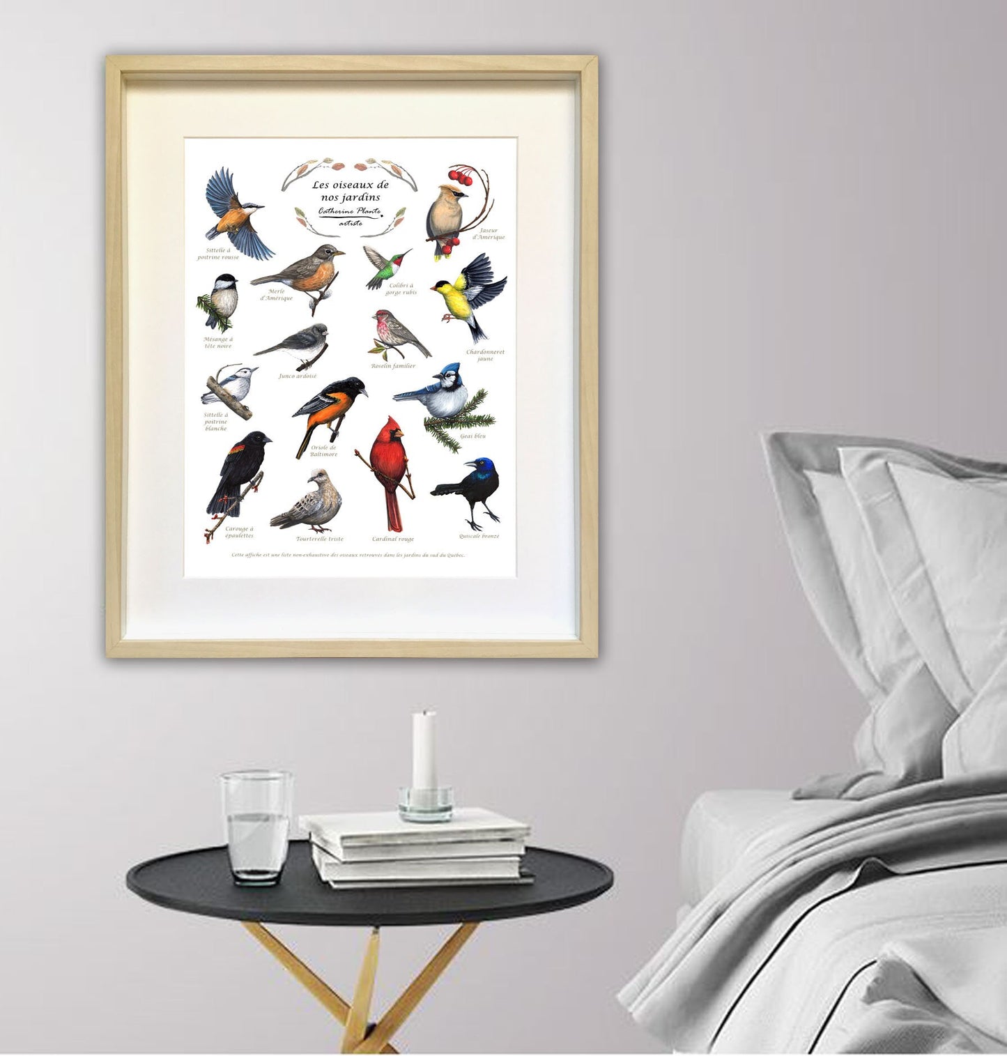 Educational poster - Birds in our gardens