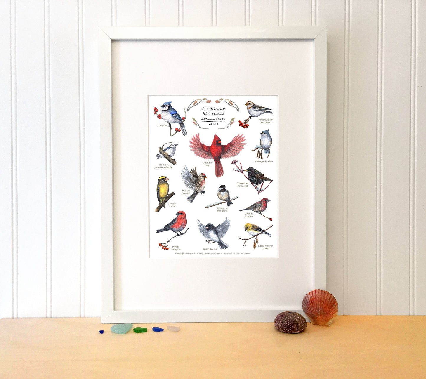 Educational Poster - Winter Birds