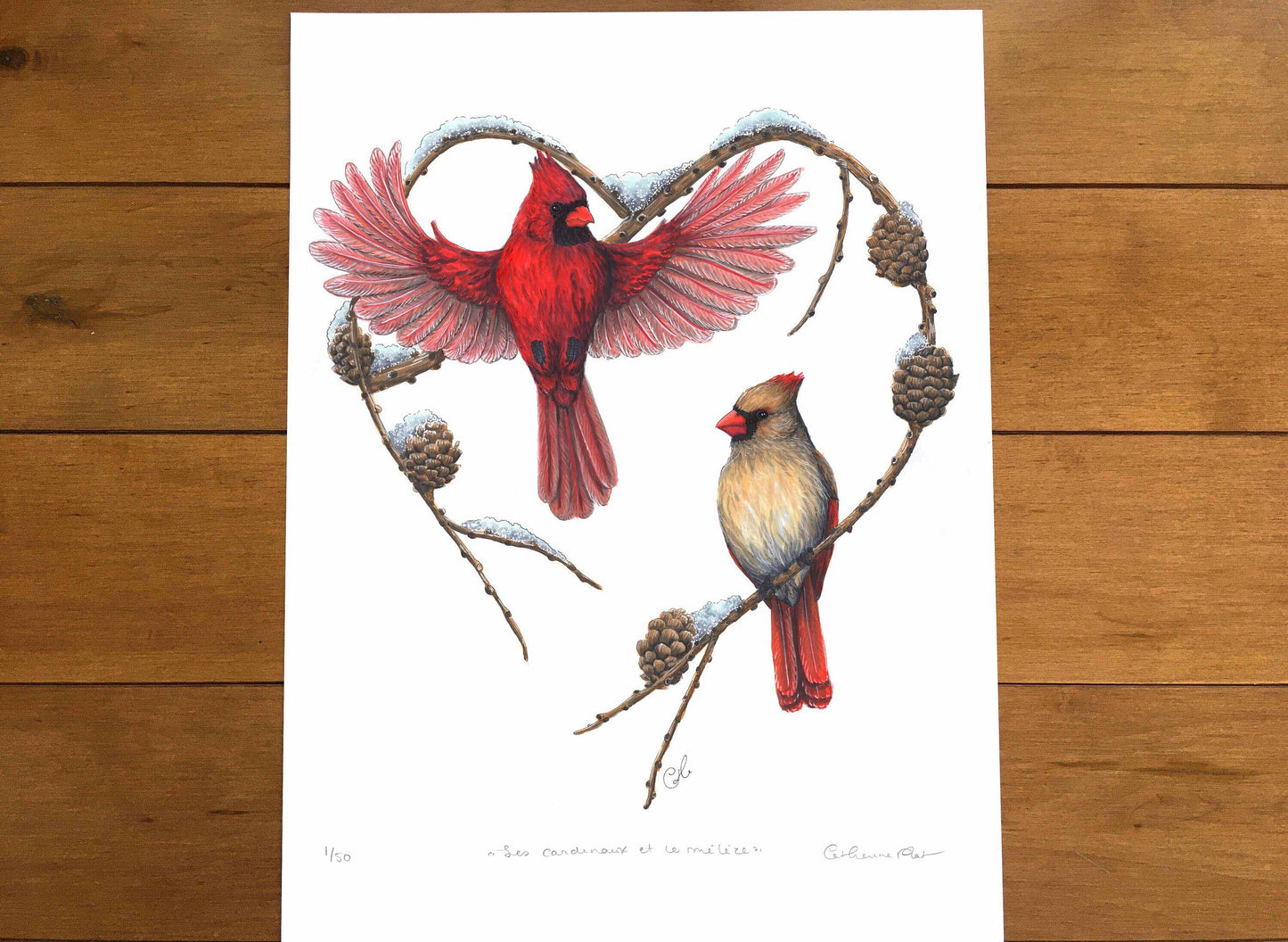 Large Art Print - The Cardinals and the Larch
