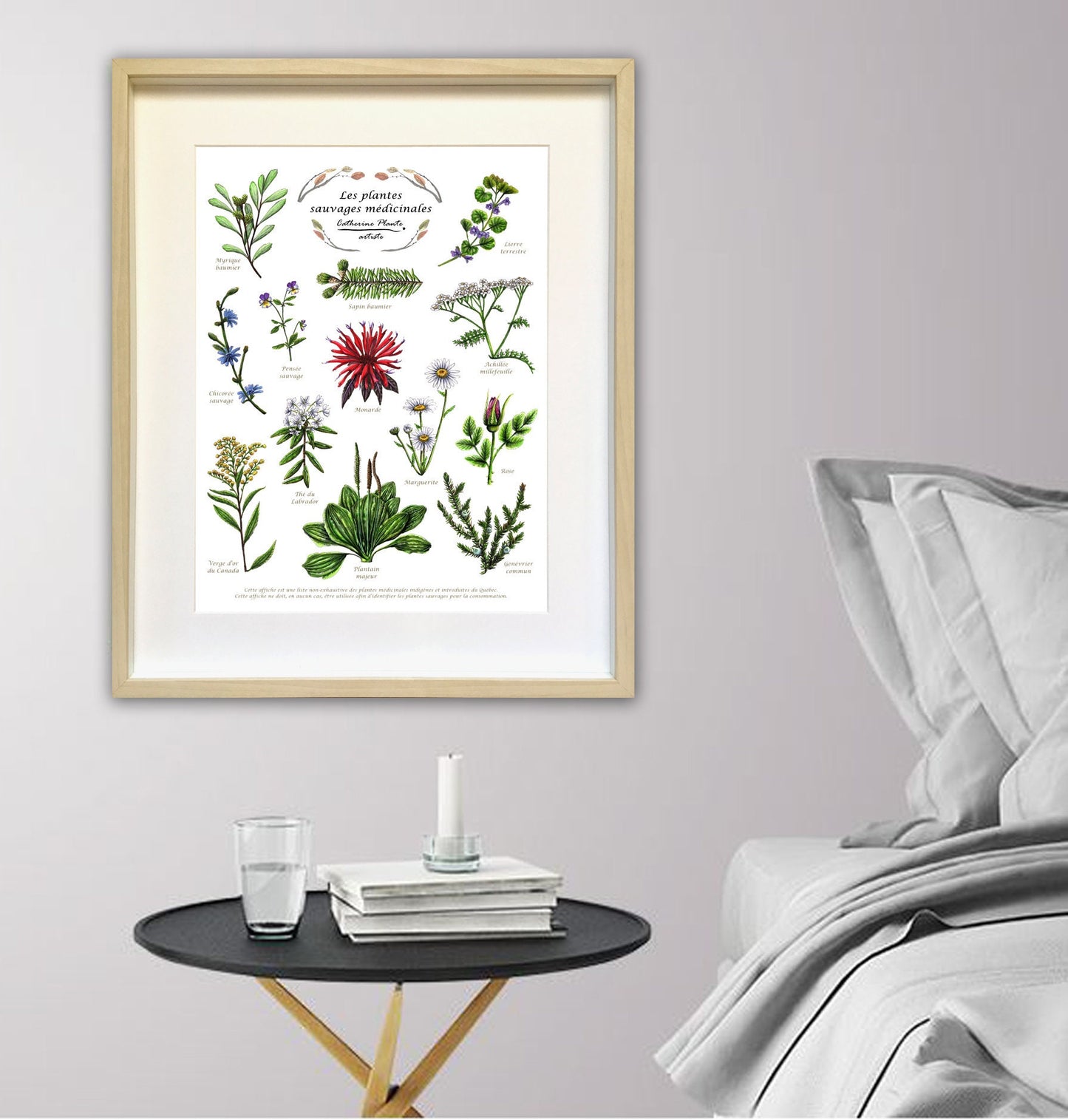 Educational poster - Medicinal wild plants