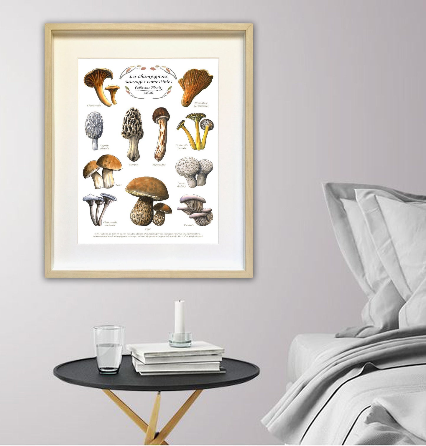 Affiche éducative - Les champignons sauvages comestibles