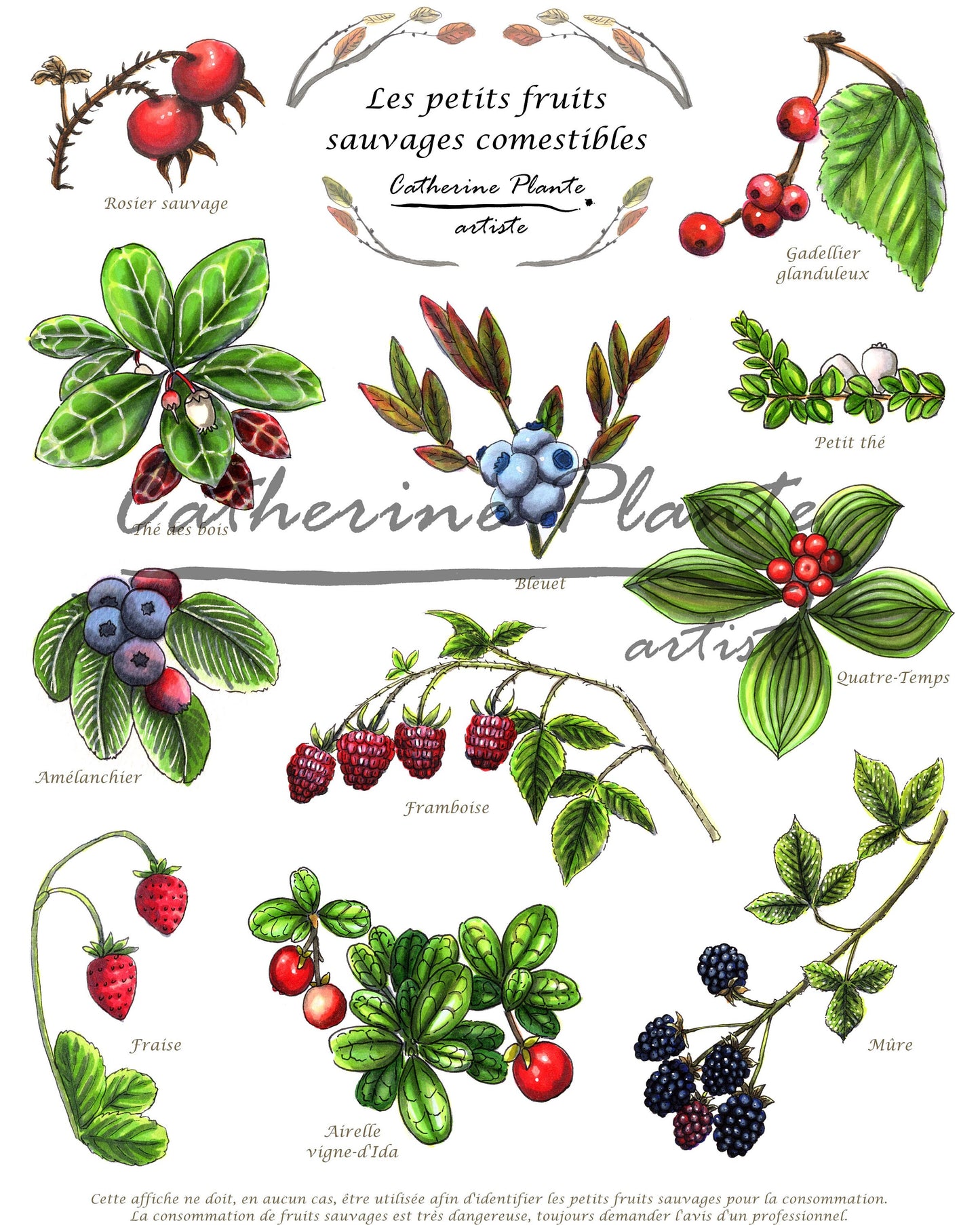 Triptyque d'affiches éducatives