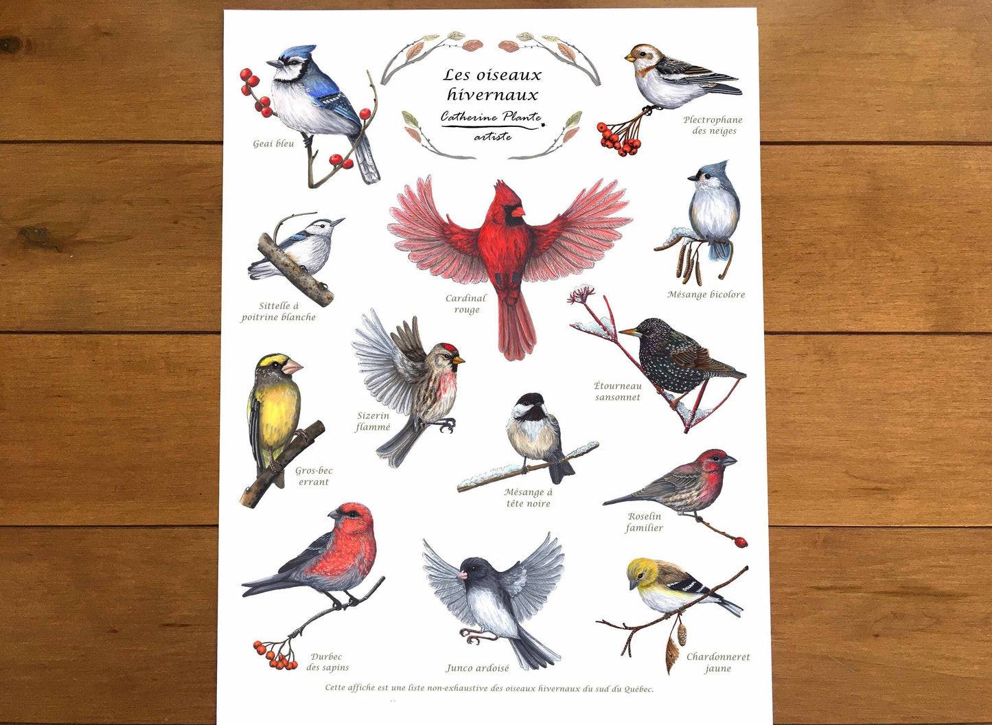 Educational Poster - Winter Birds