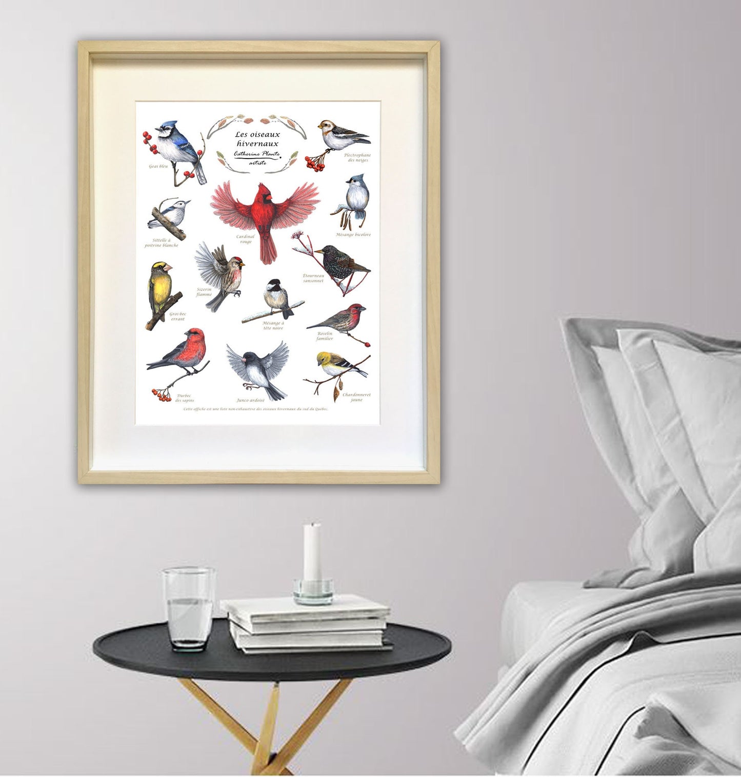 Educational Poster - Winter Birds