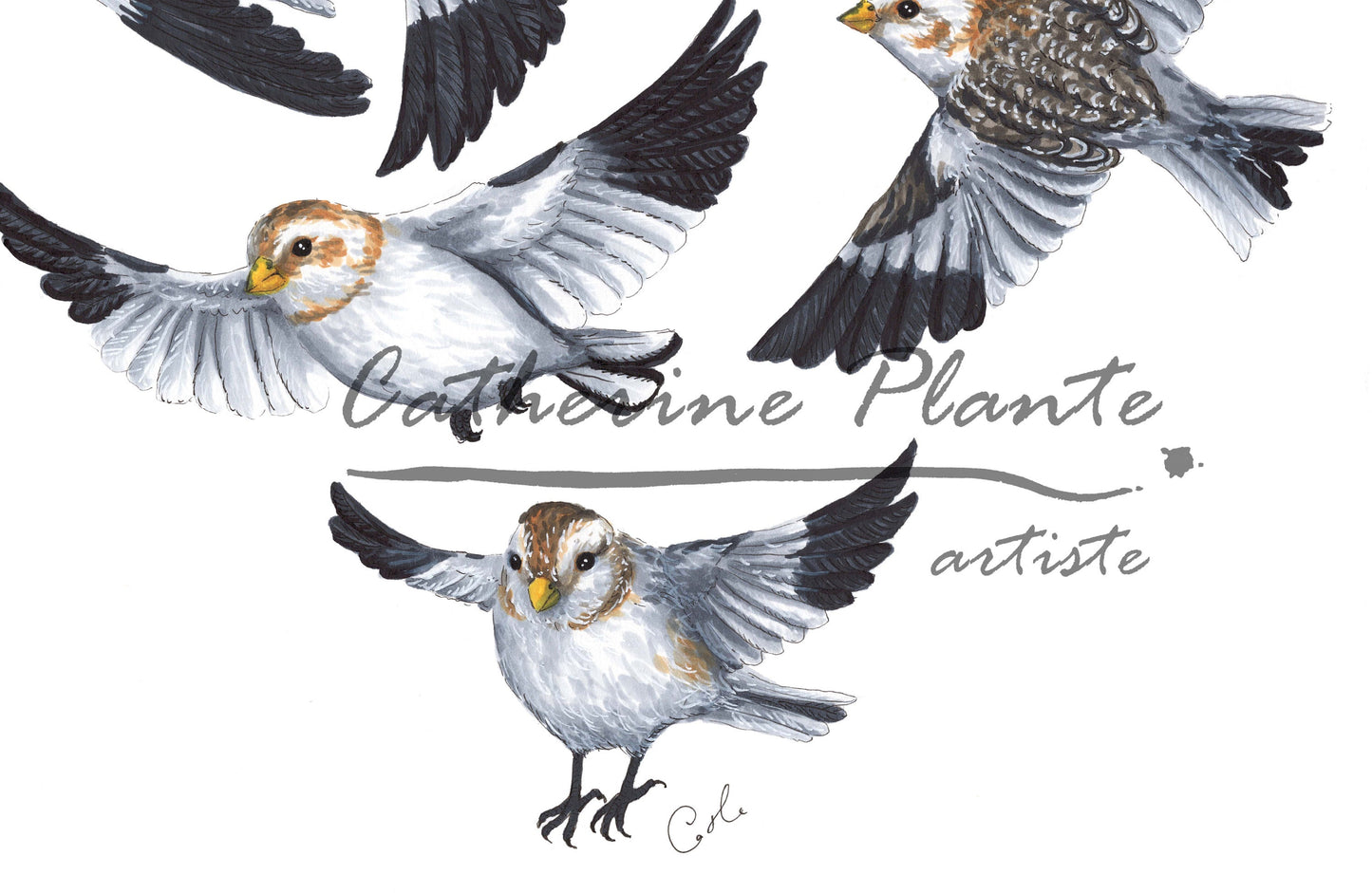 Large Art Print - Snow Buntings in Flight