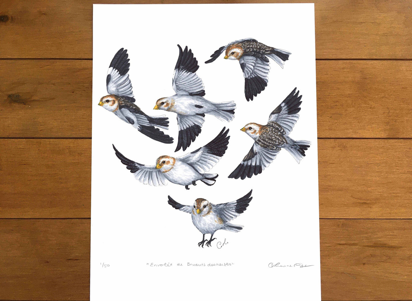 Large Art Print - Snow Buntings in Flight