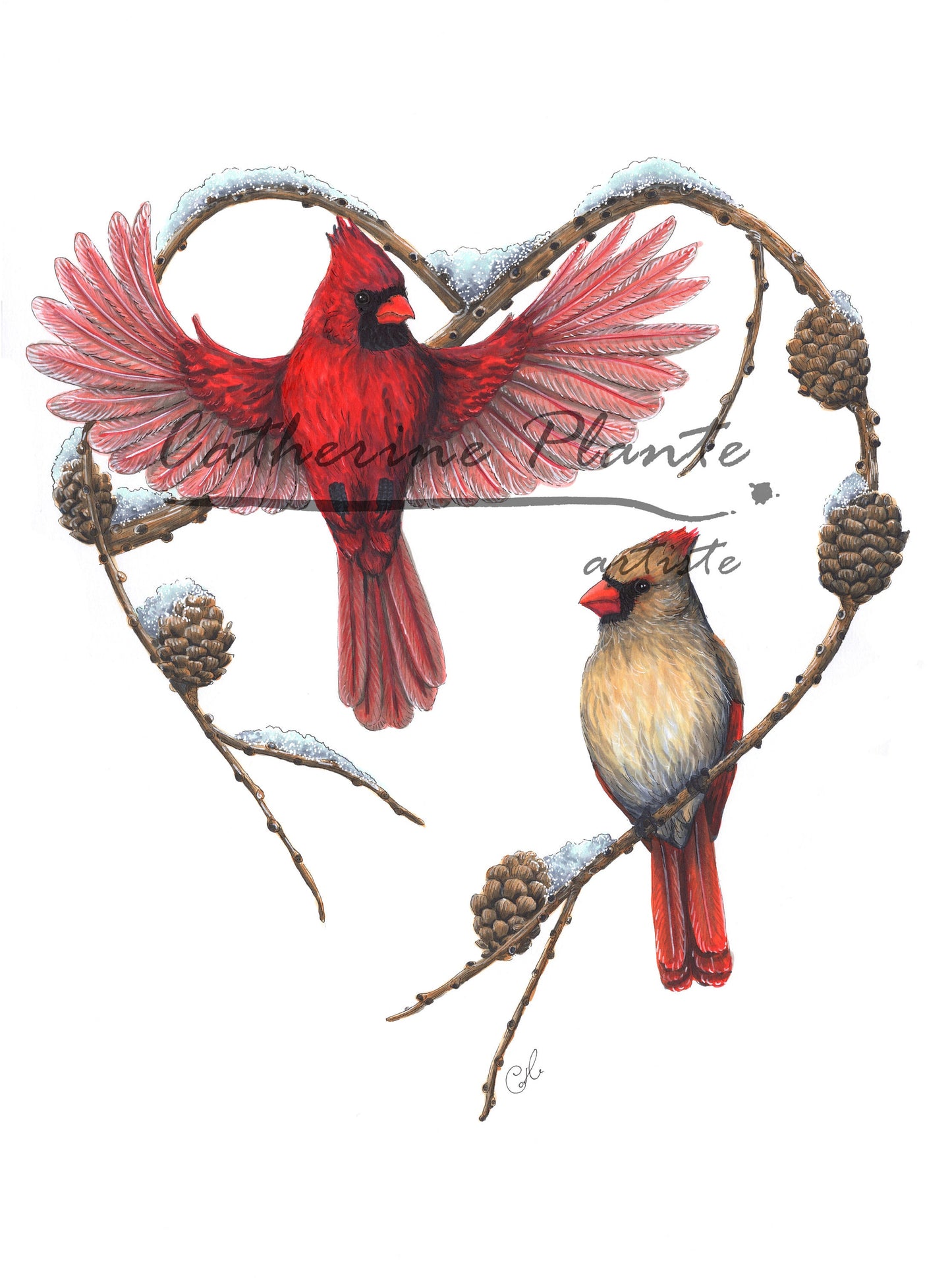 Large Art Print - The Cardinals and the Larch