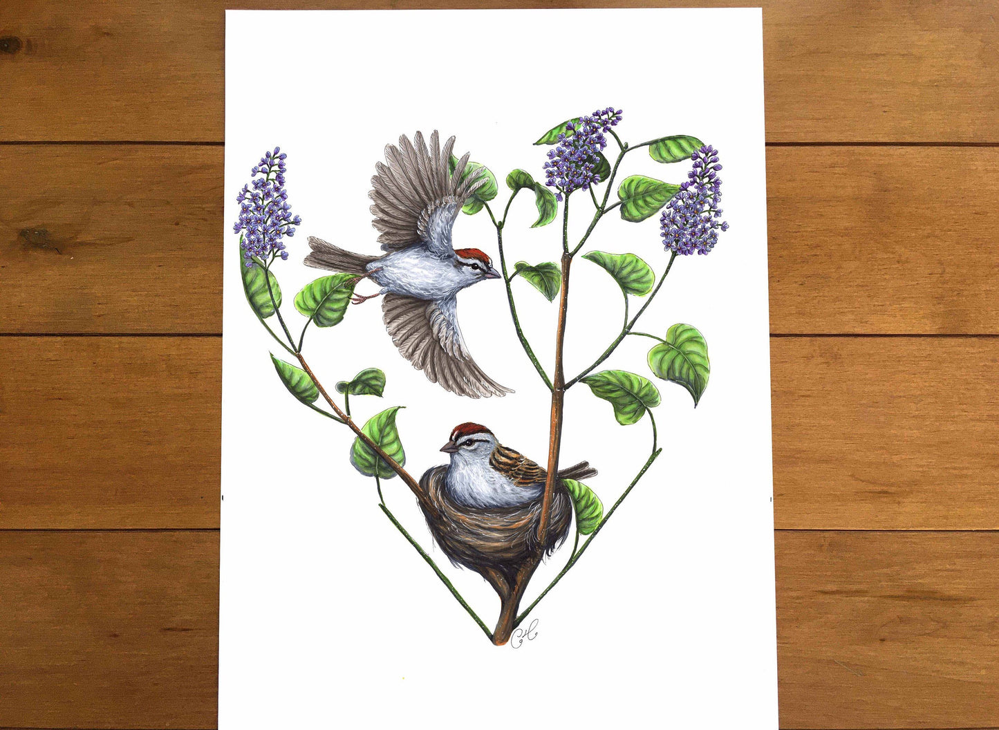 Grande illustration originale - Le nid du Bruant familier
