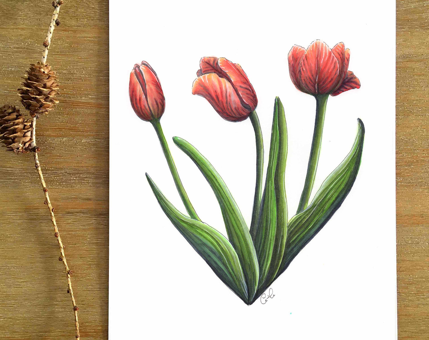 Illustration originale - Coeur de tulipes