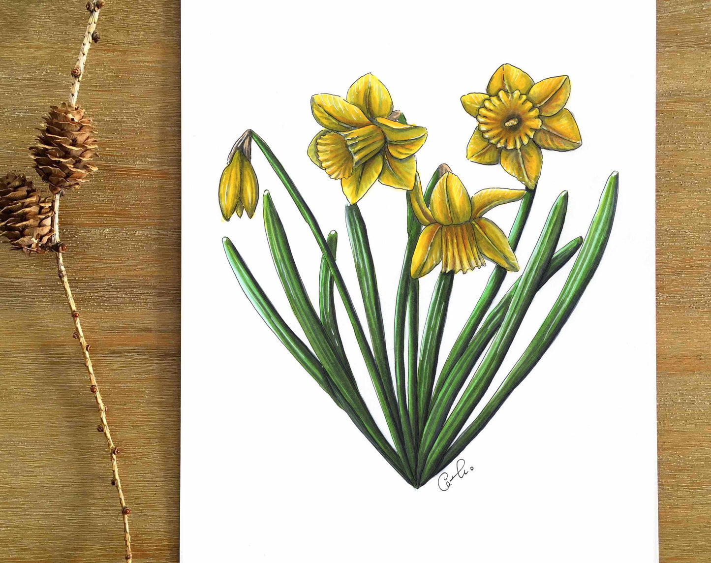 Illustration originale - Coeur de jonquilles