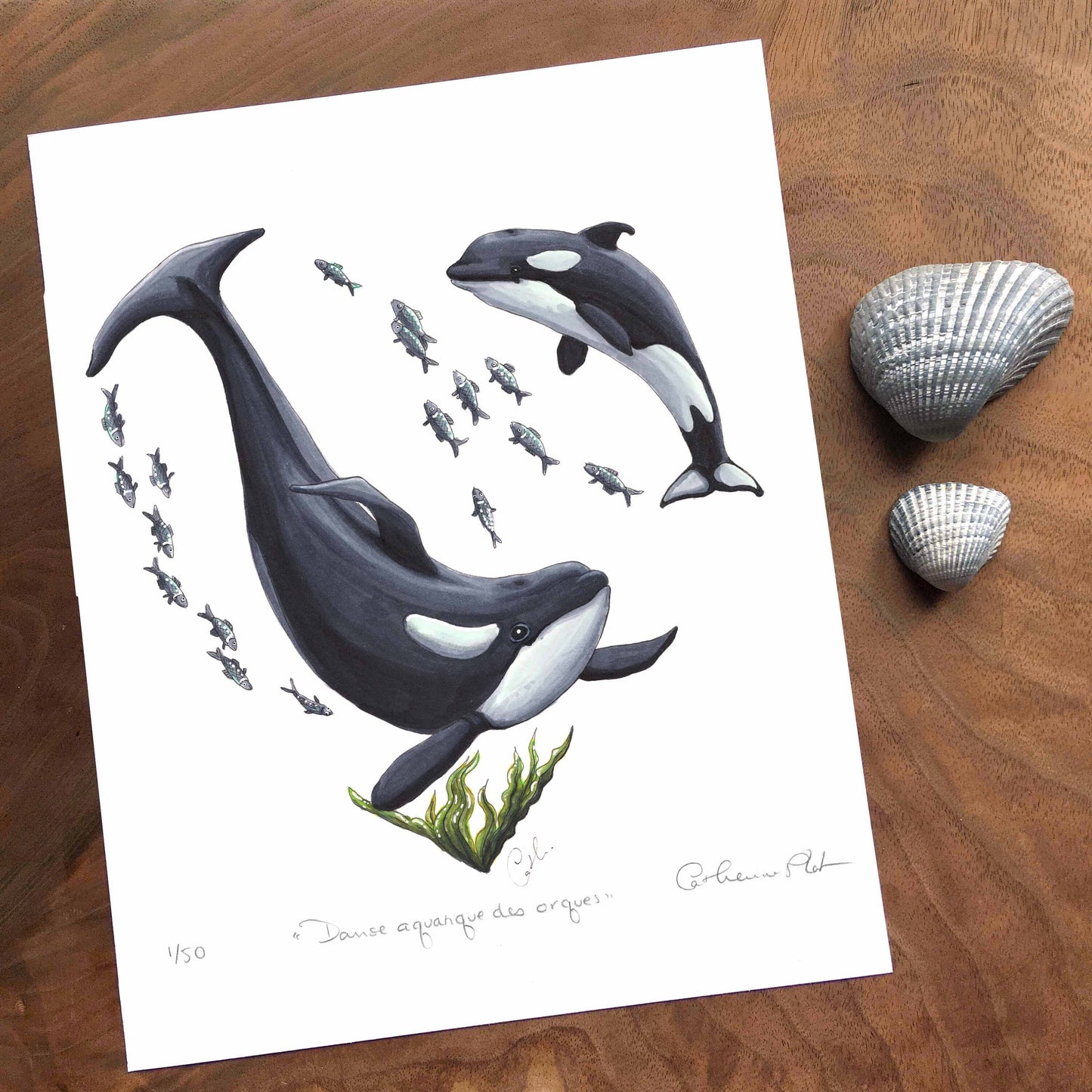 Art Print - Orca Water Dance