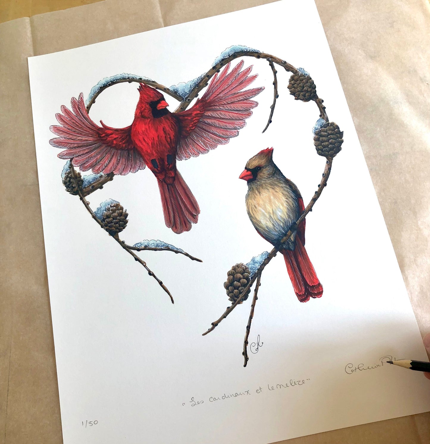 Large Art Print - The Cardinals and the Larch