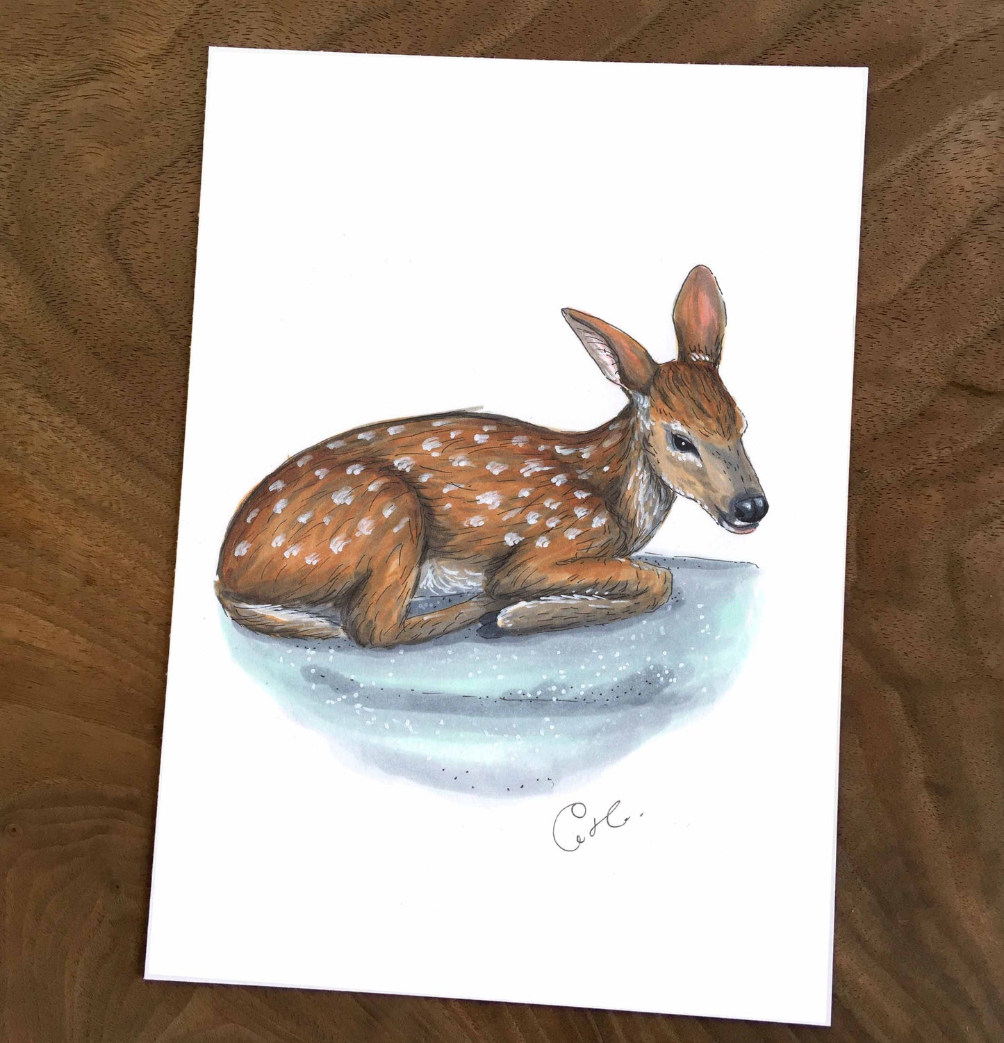 Small original illustration - Deer and winter delicacy