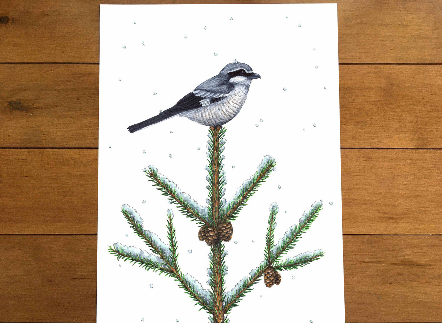 Grande illustration originale - Pie-grièche sous la neige