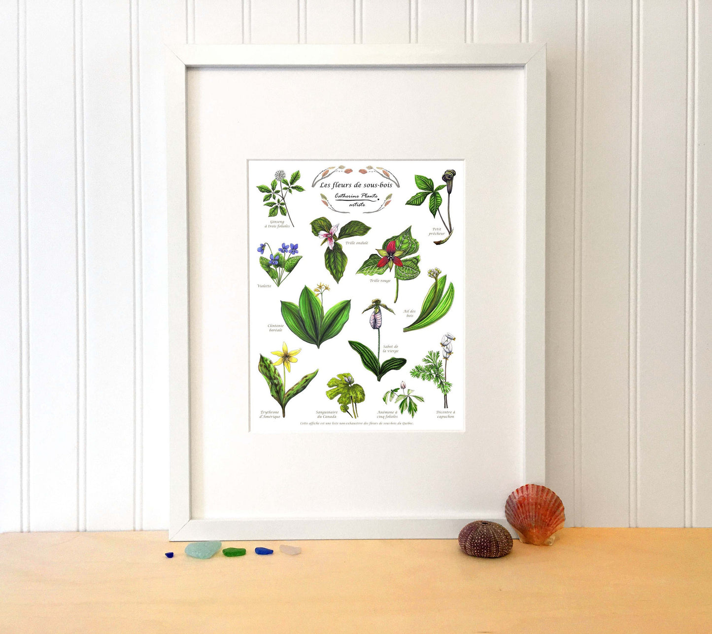 Affiche éducative - Les fleurs de sous-bois