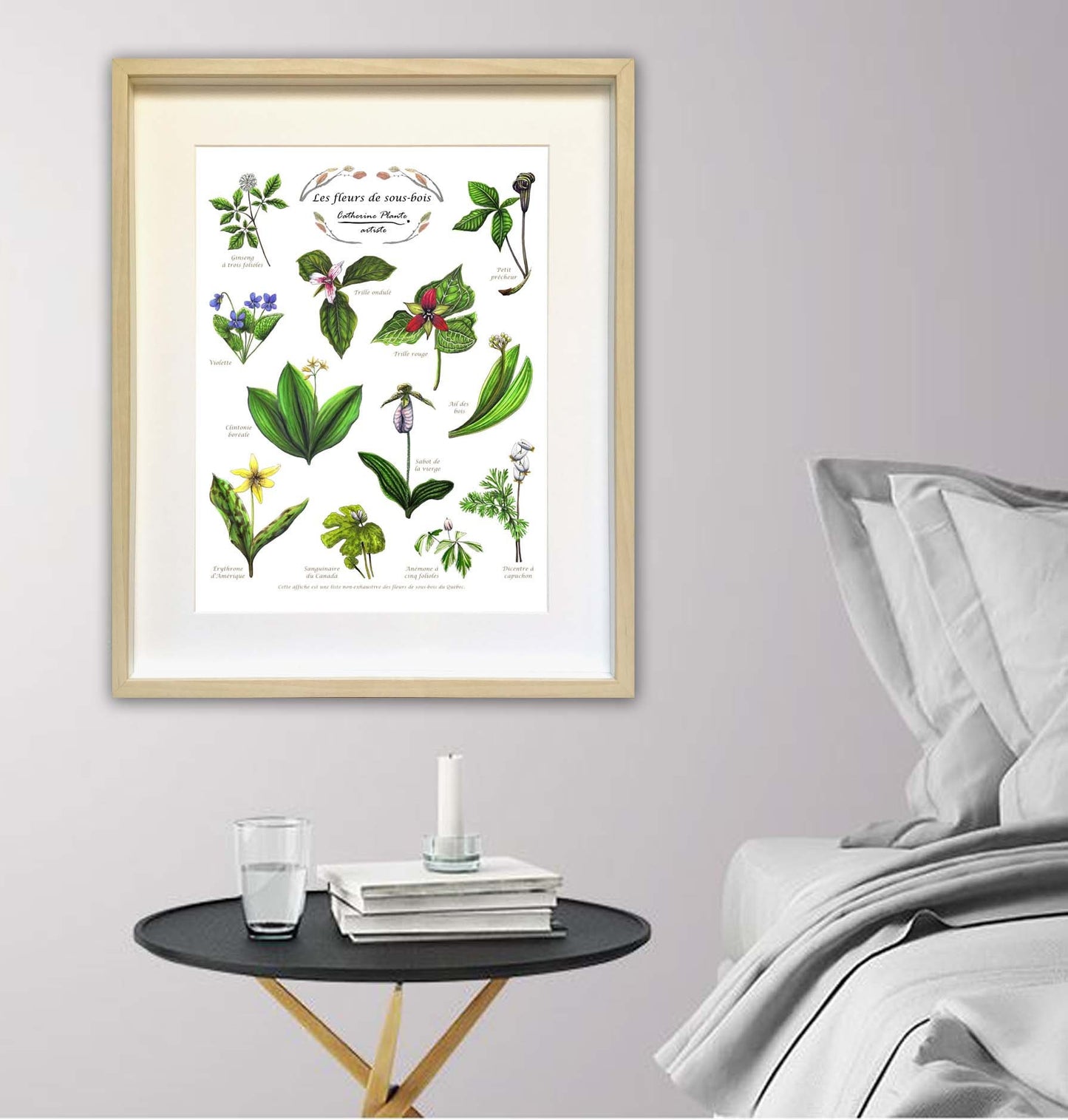Affiche éducative - Les fleurs de sous-bois