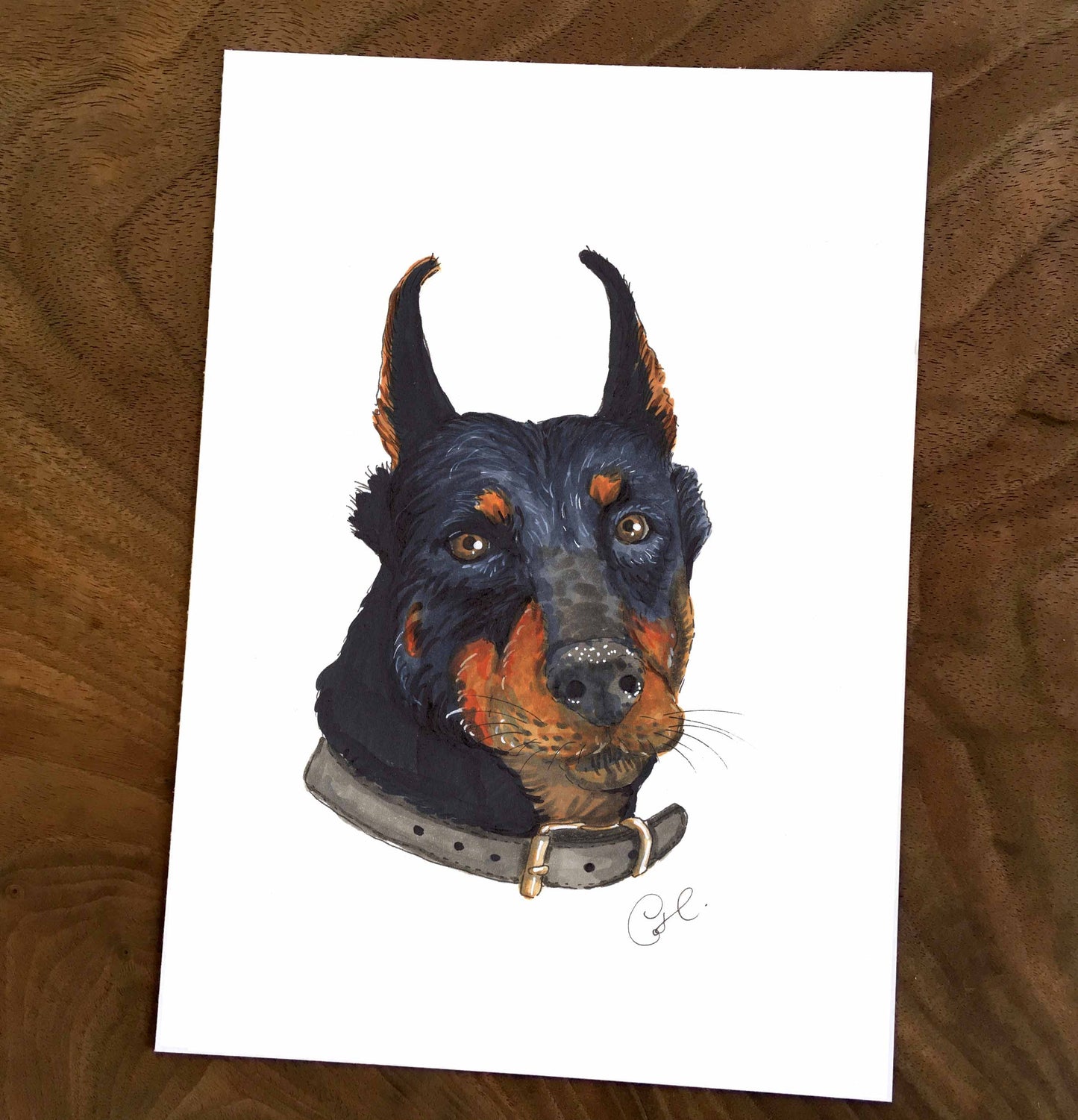 Petites illustrations originales - Choix de cinq oeuvres de chiens