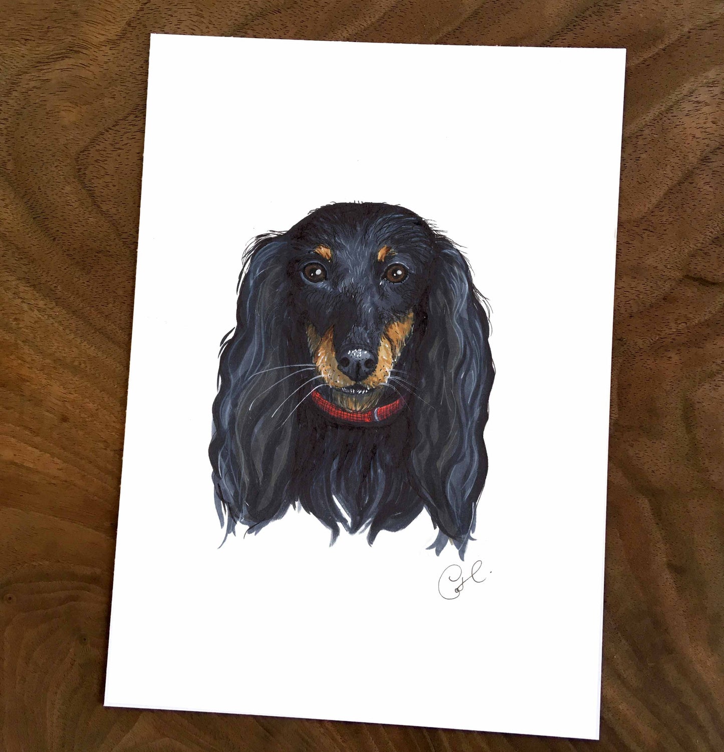 Petites illustrations originales - Choix de cinq oeuvres de chiens