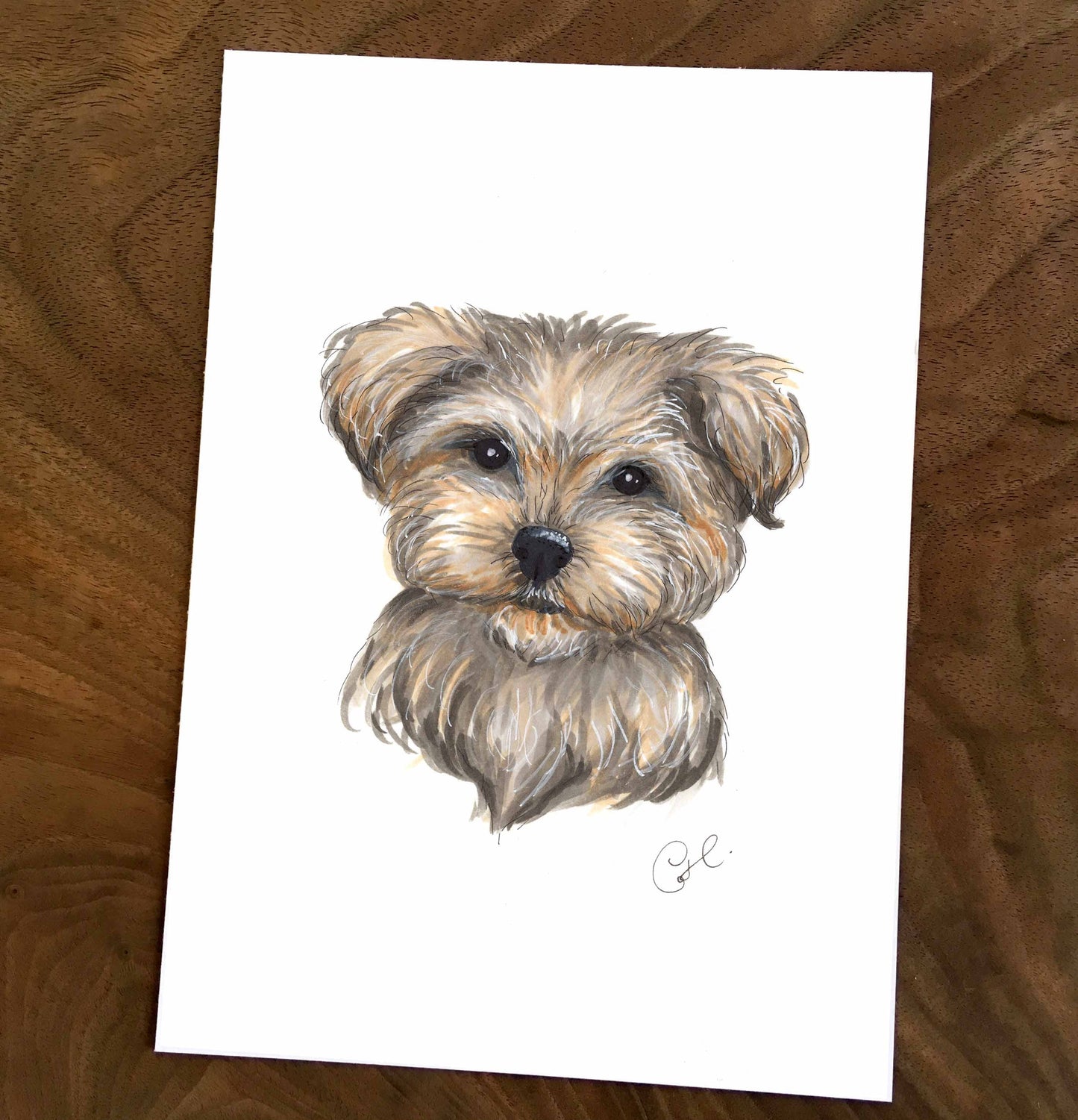 Petites illustrations originales - Choix de cinq oeuvres de chiens