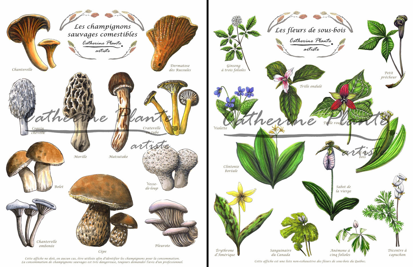 Triptyque d'affiches éducatives