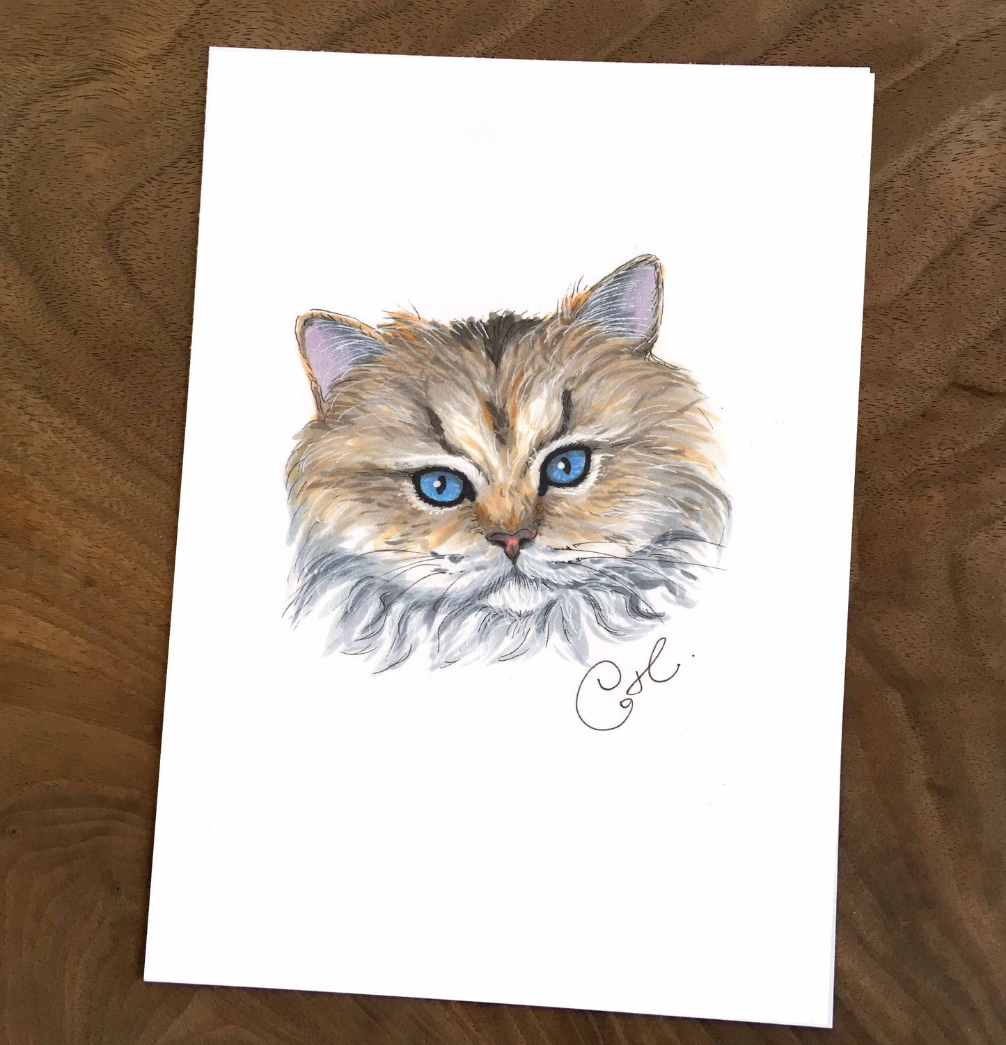 Petites illustrations originales - Choix de six oeuvres de chats