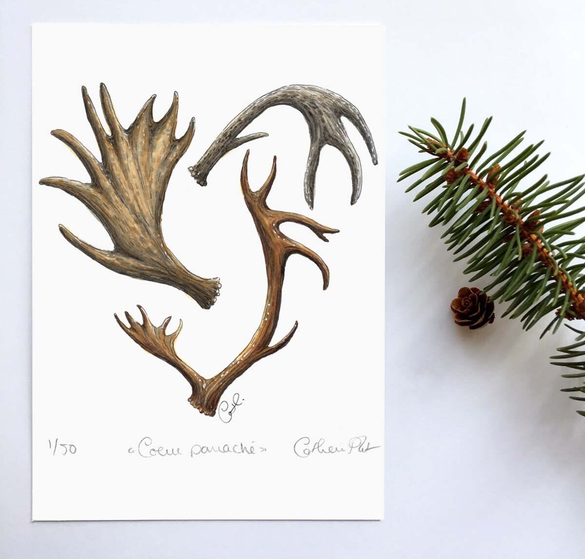 Small Art Print - Variegated Heart