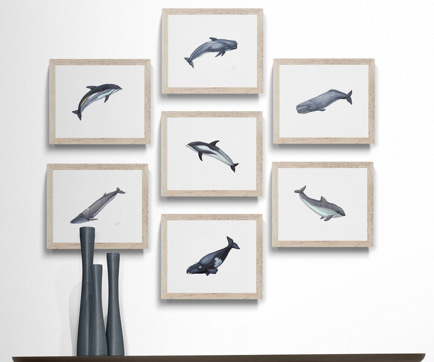 Small Original Illustrations - Selection of seven cetacean illustrations
