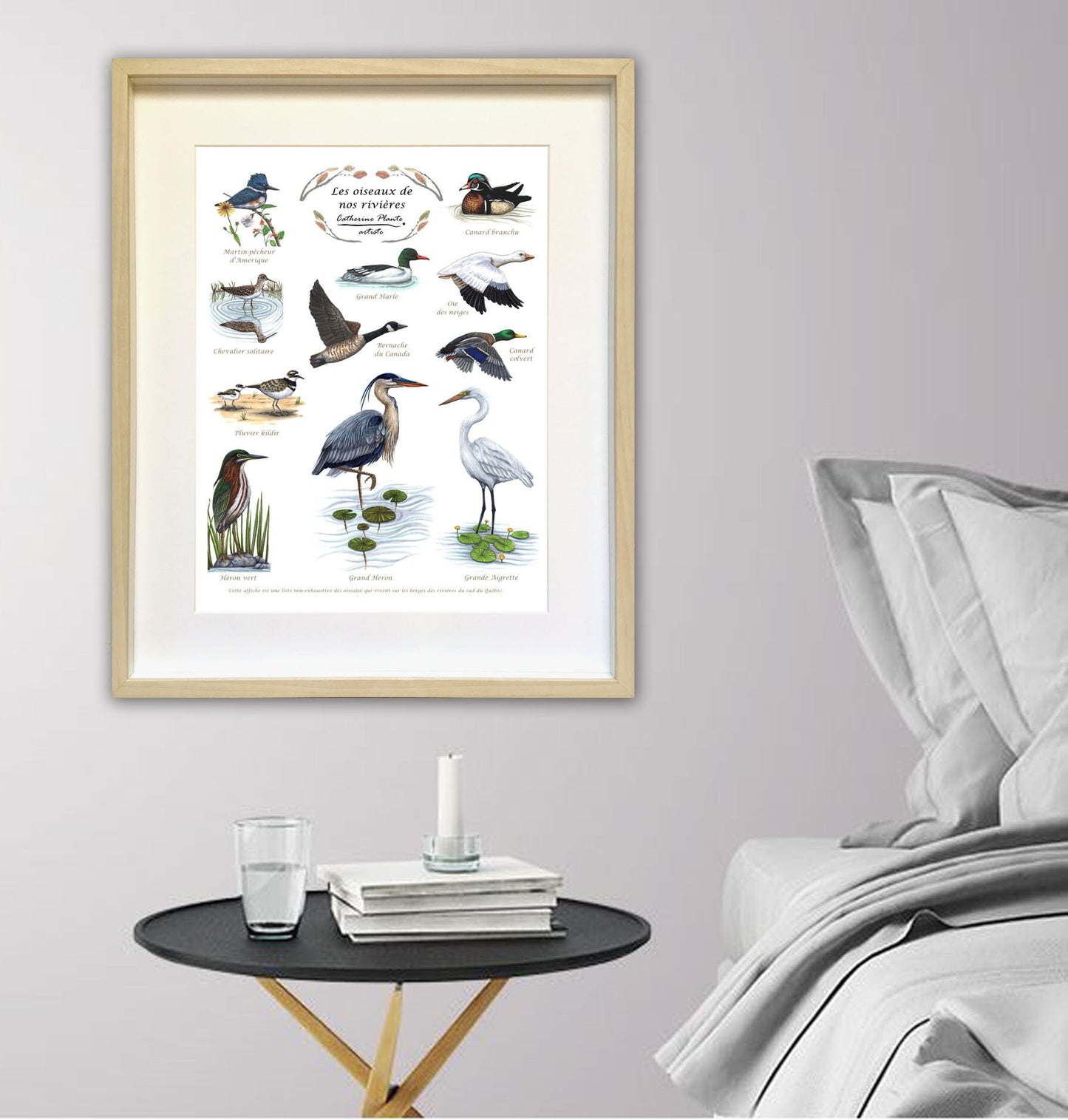 Educational poster - The birds of our rivers