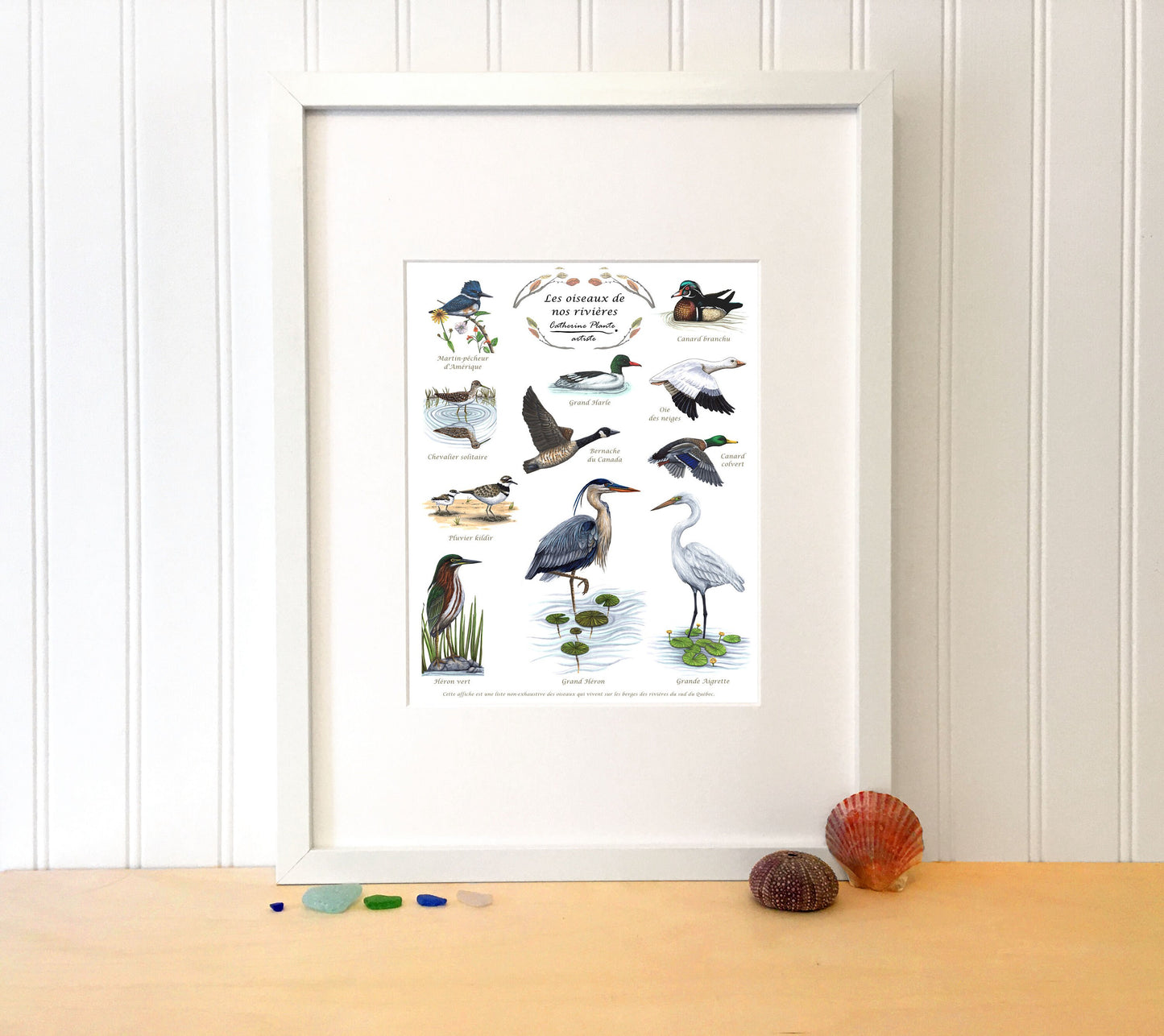 Educational poster - The birds of our rivers