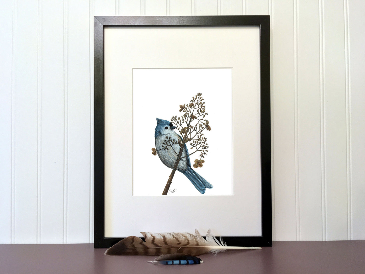 Illustration originale - Mésange bicolore et hydrangée