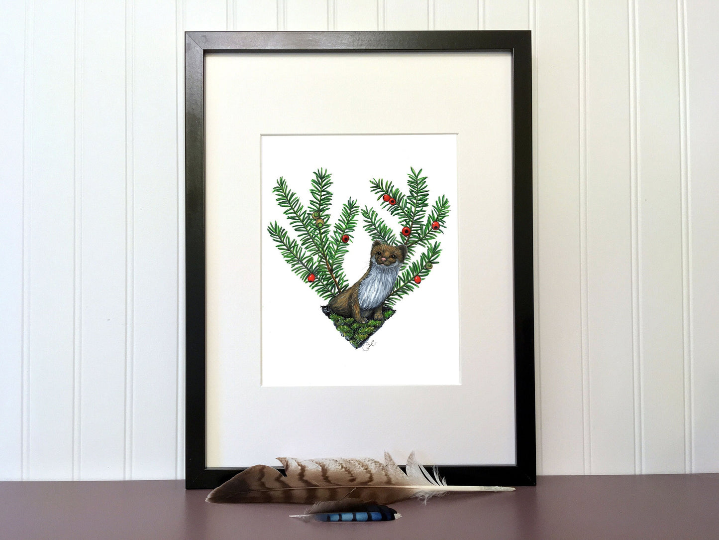 Original illustration - Ermine and Yew from Canada