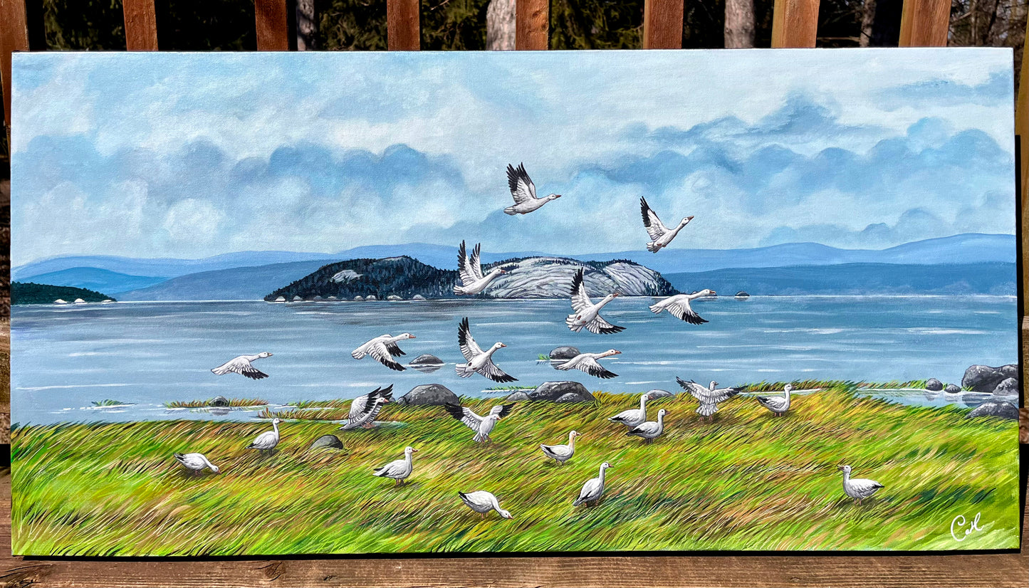 Peinture originale - L’envolée du large