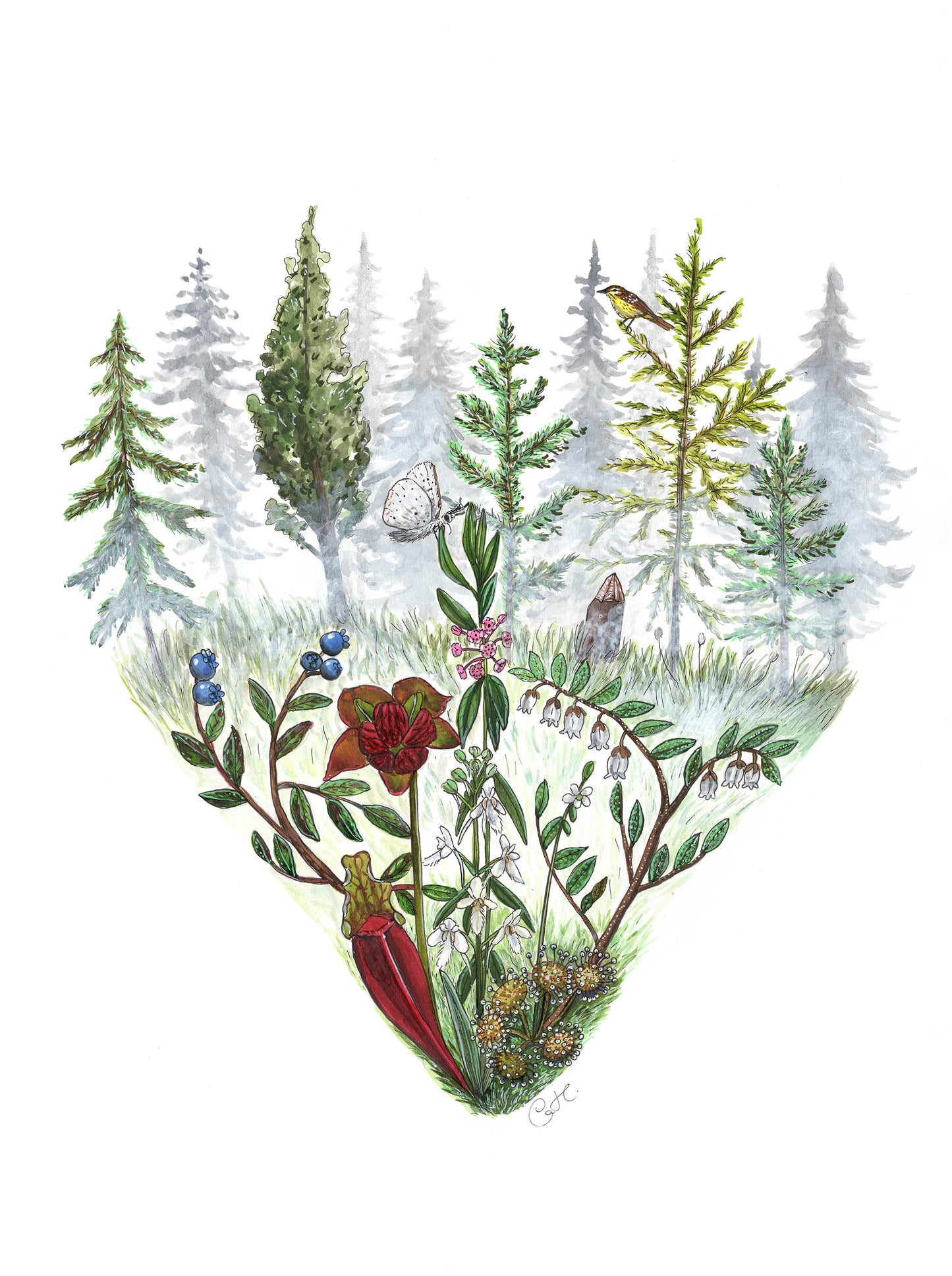 Cardinals and the Ginkgo