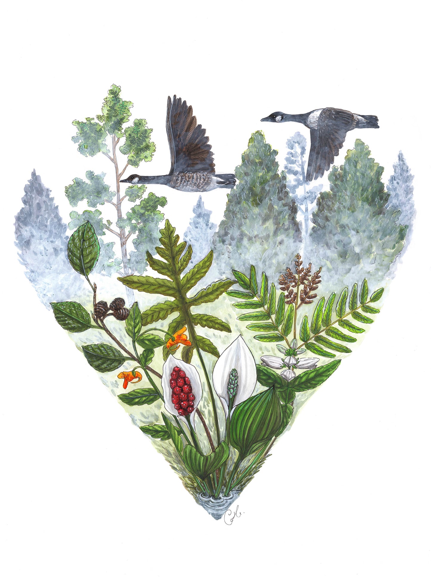 Cardinals and the Ginkgo