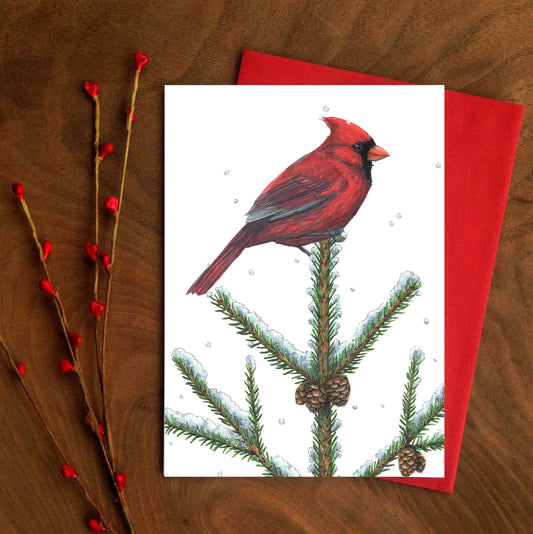 Carte - Cardinal rouge et épinette