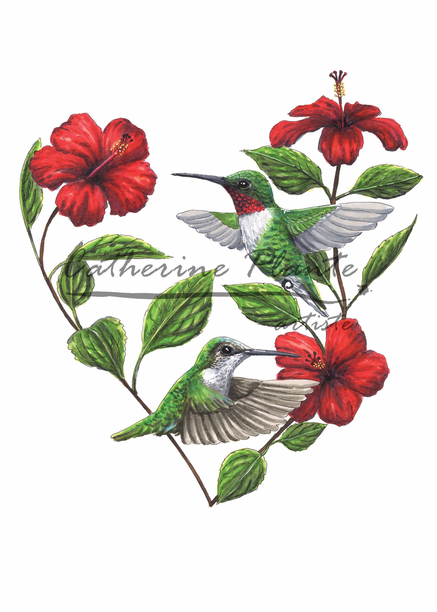 Carte - Coeur de colibris