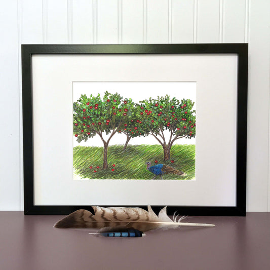 Illustration originale - Dindon et pommiers