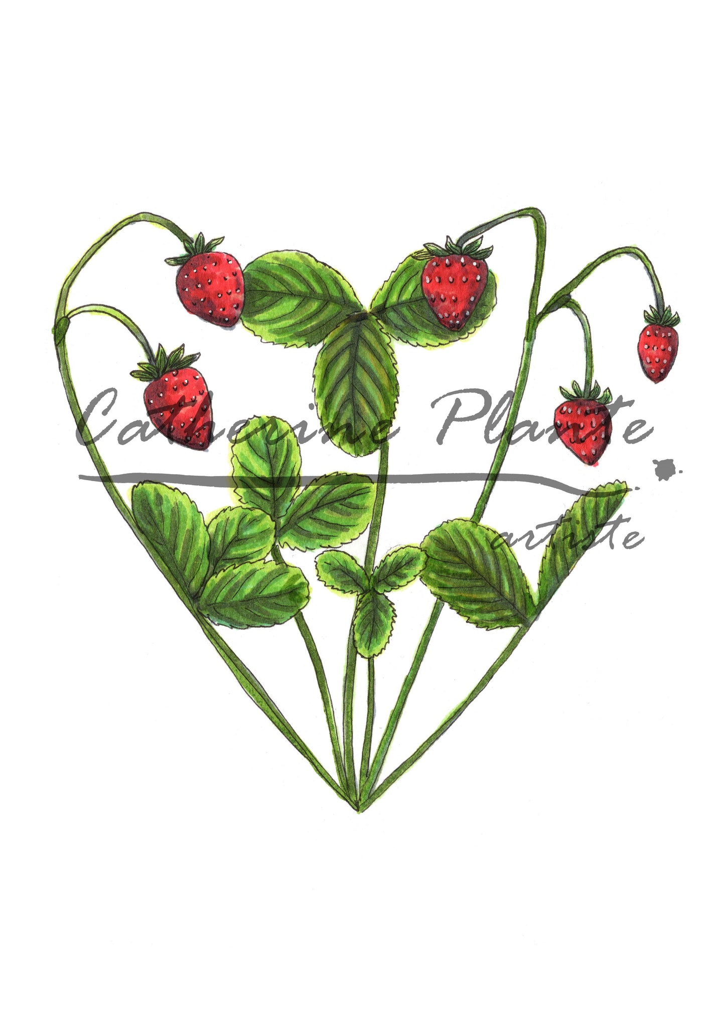 Carte - Coeur de fraises