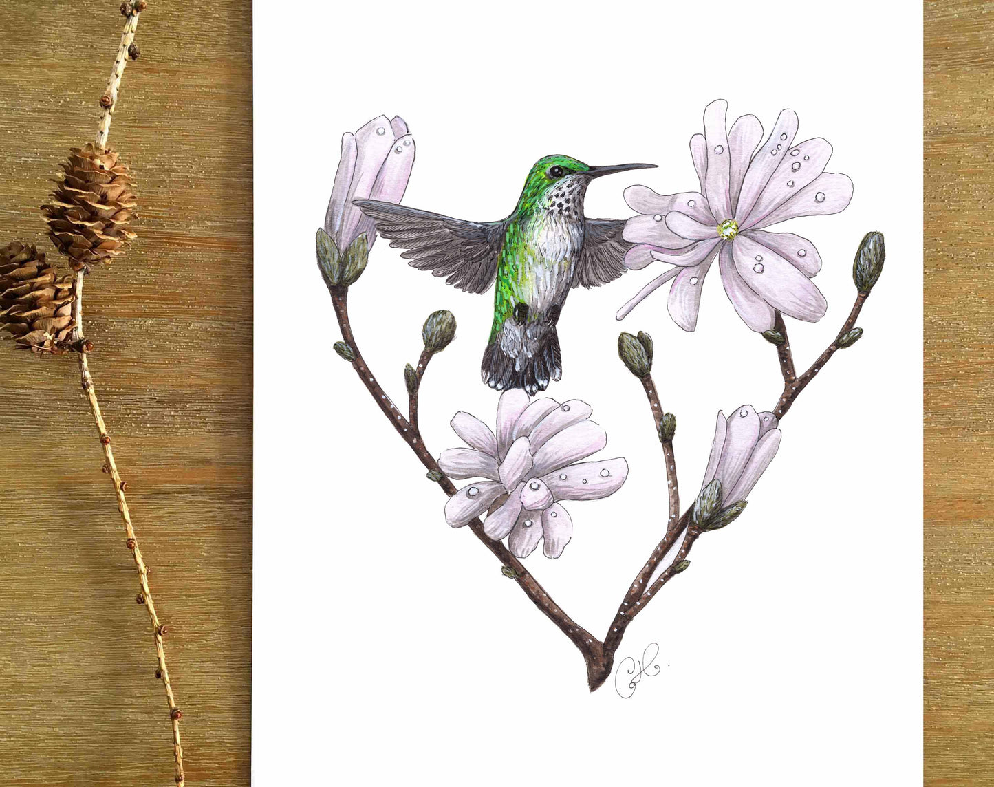 The First Hummingbird