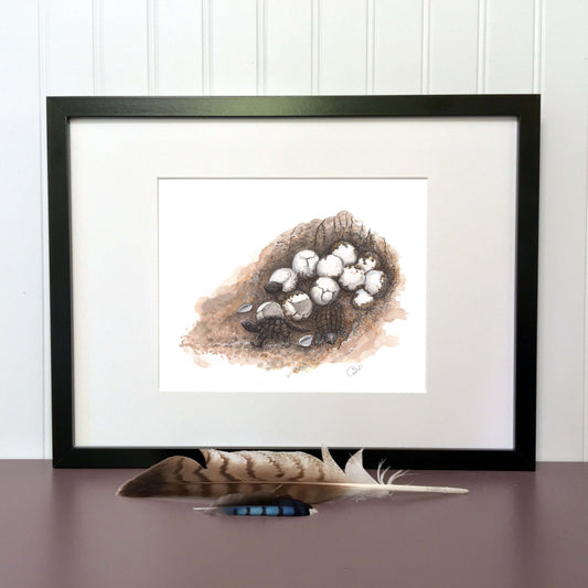 Illustration originale - Le nid de tortues