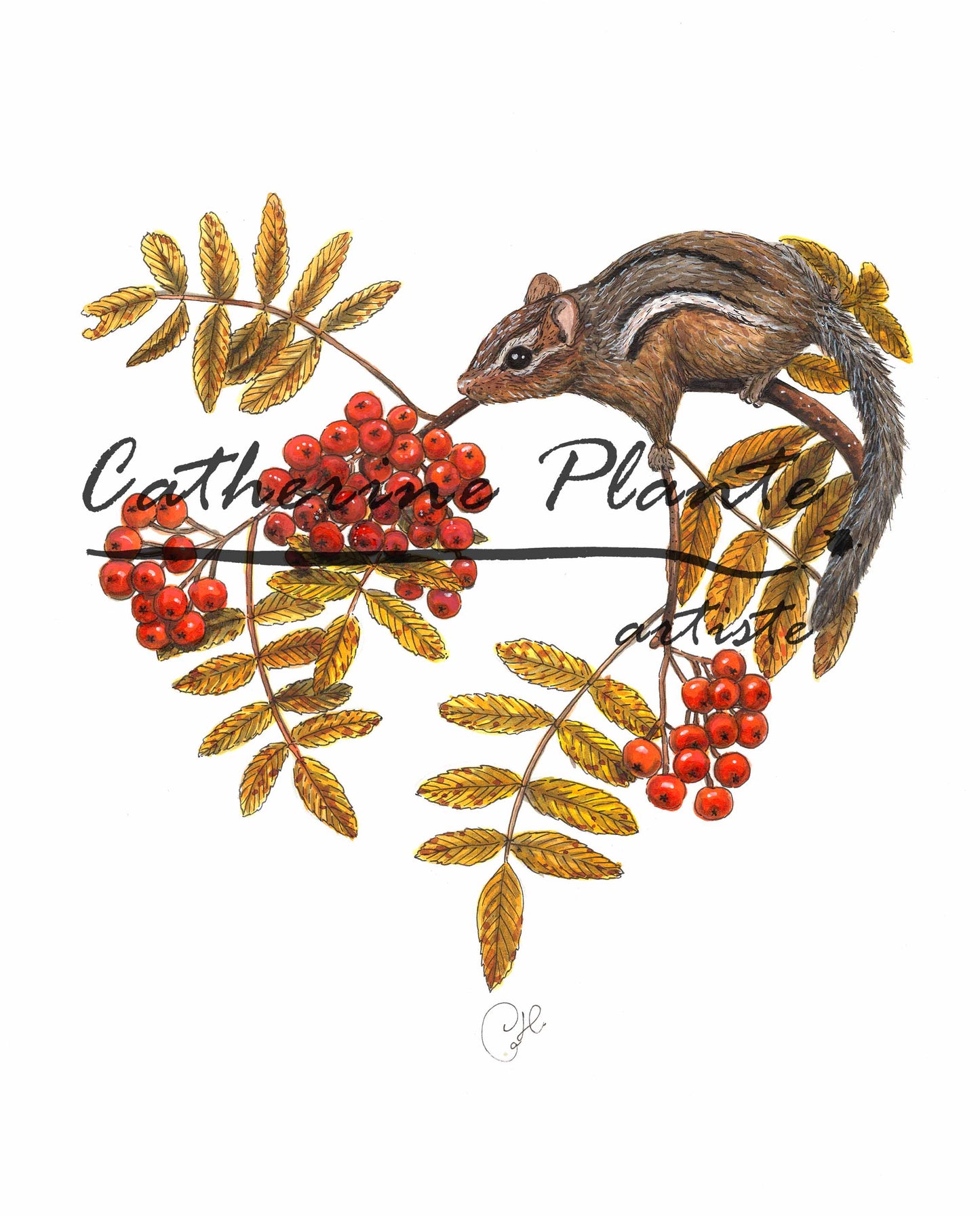 Impression d'art - Le tamia au sorbier
