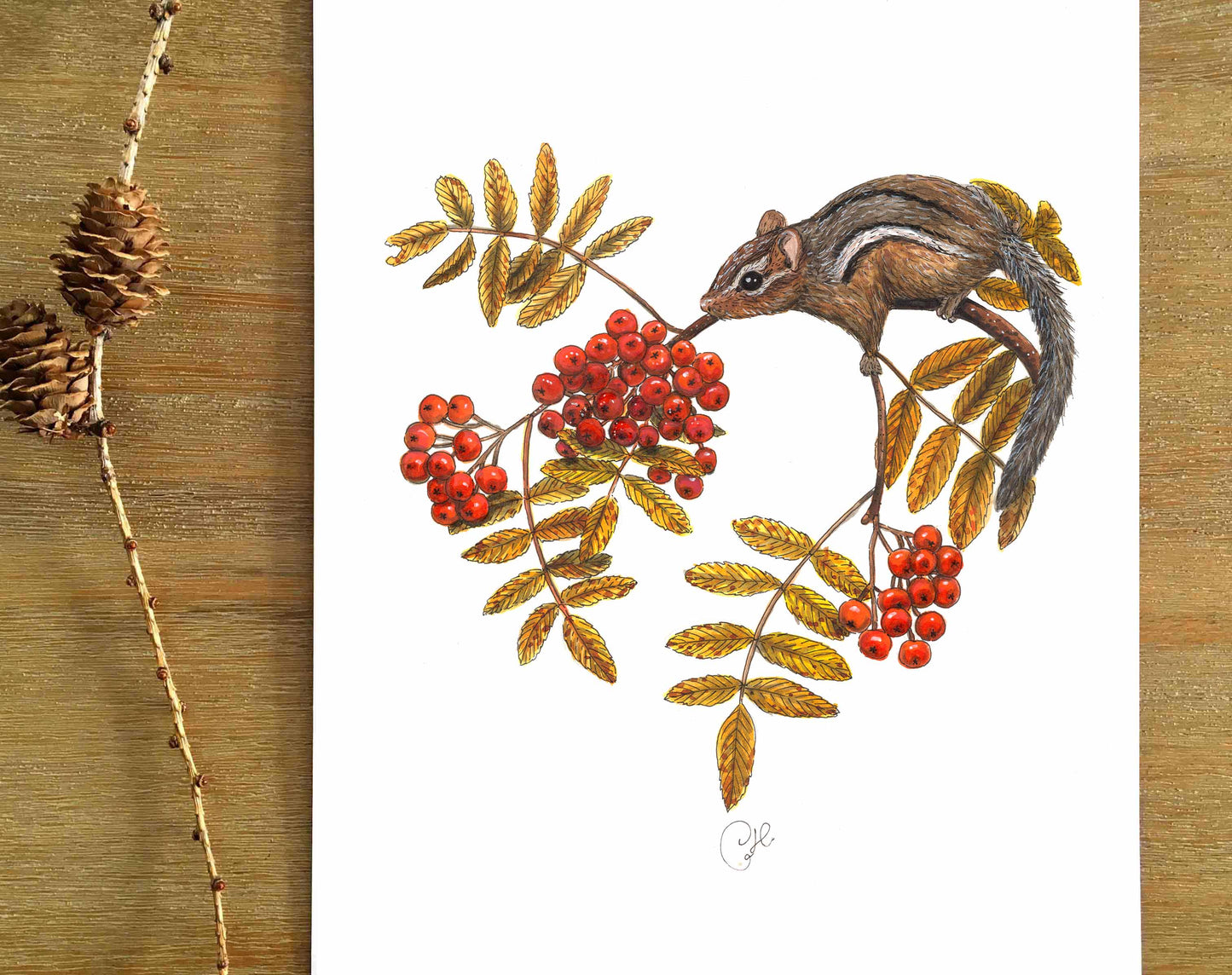 Impression d'art - Le tamia au sorbier