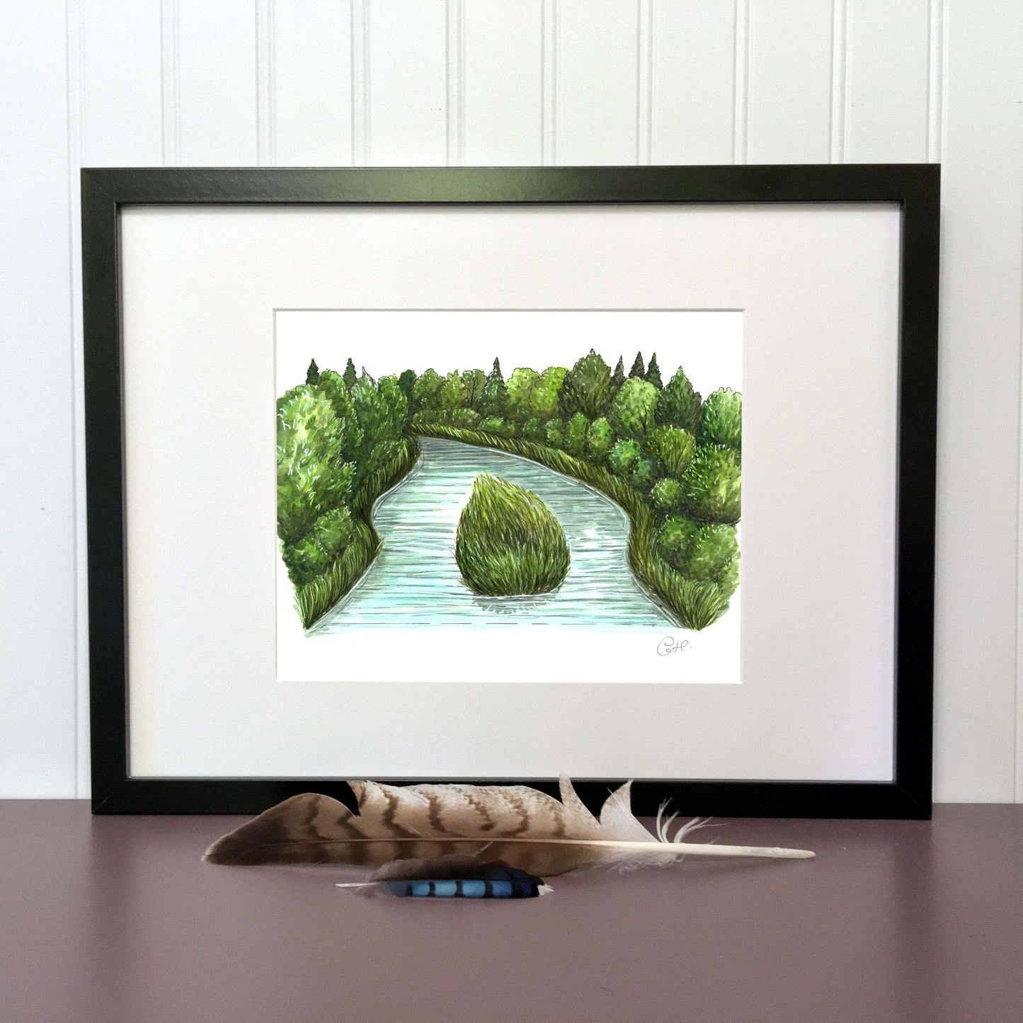 Original illustration - Riparian strip