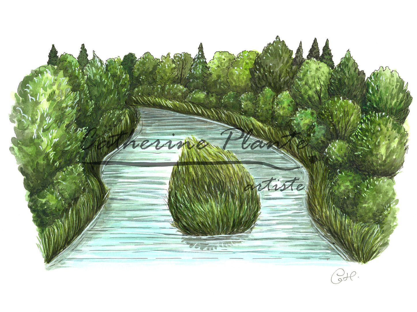 Original illustration - Riparian strip