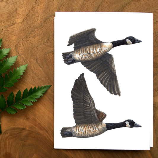 Greeting Cards - Geese
