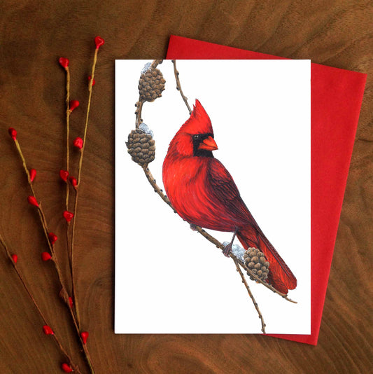 Carte - Cardinal rouge et mélèze