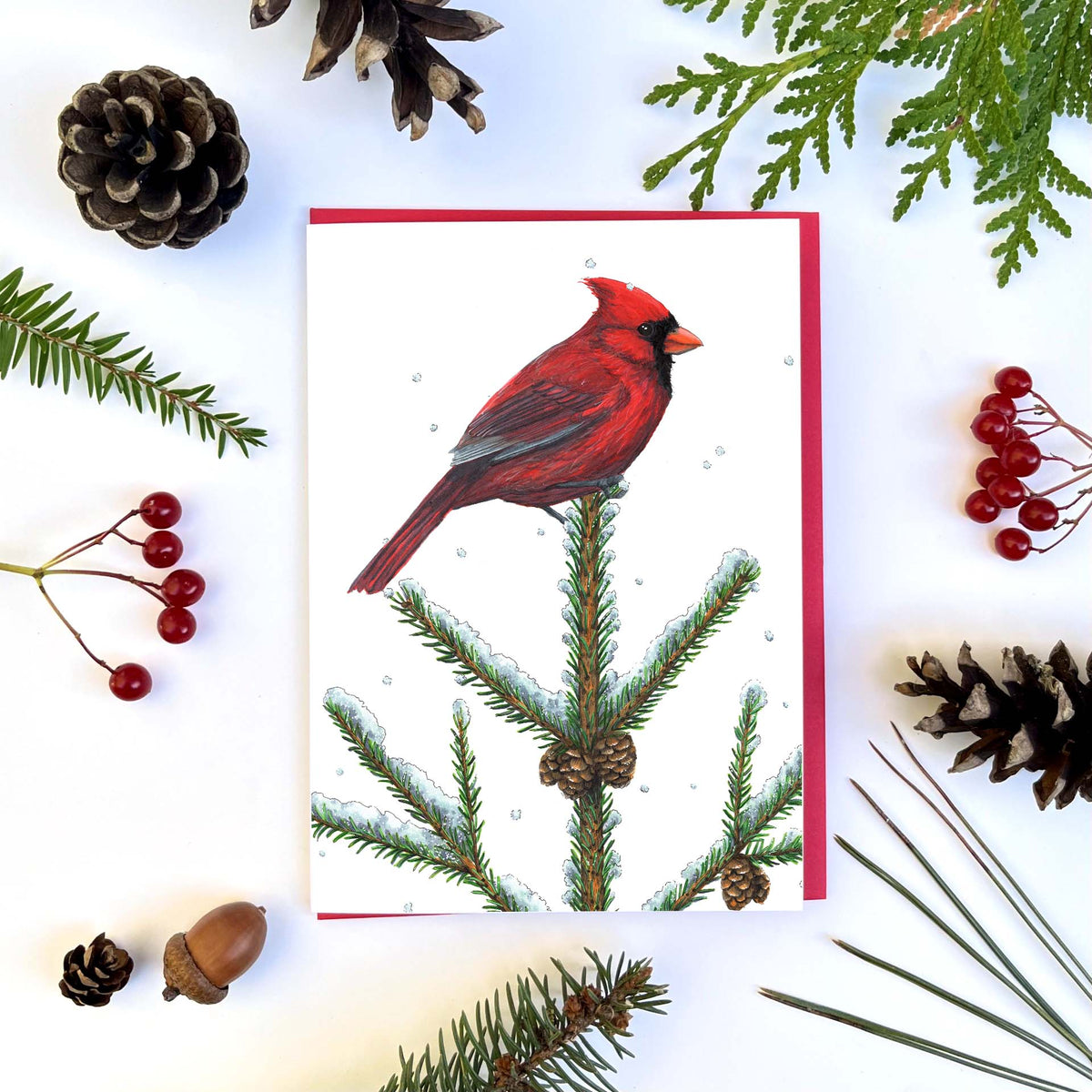 Carte - Cardinal rouge et épinette