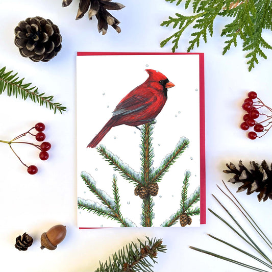 Greeting Cards - Red Cardinal and Spruce